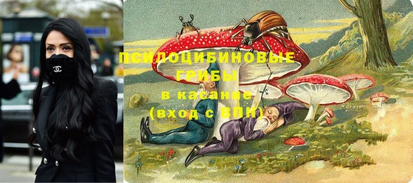 дмт Алексеевка