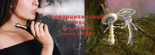 тгк Алзамай