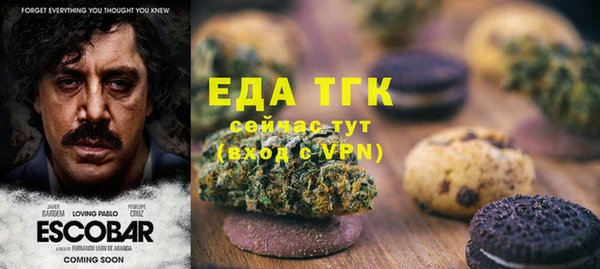 тгк Алексин