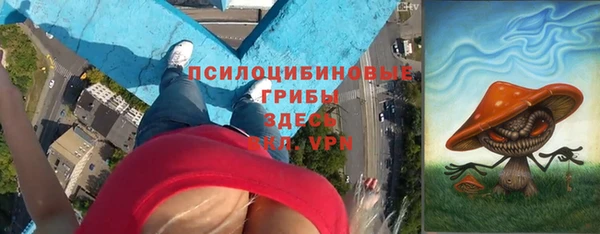 дмт Алексеевка