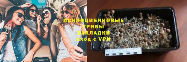 дмт Алексеевка