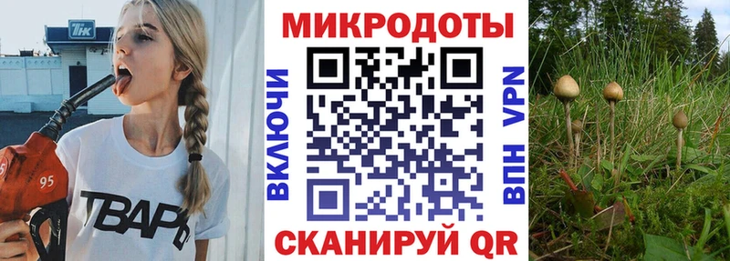 Галлюциногенные грибы Cubensis  Боготол 